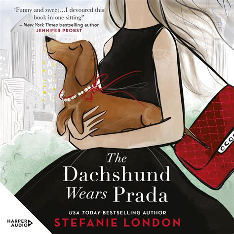 the dachshund wears prada|stefanie london prada.